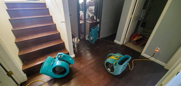 Carpet water damage restoration in OH