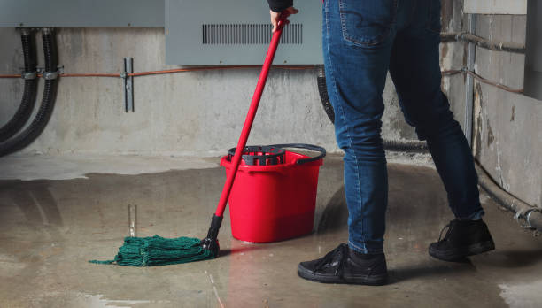Best Basement water damage restoration  in Xenia, OH