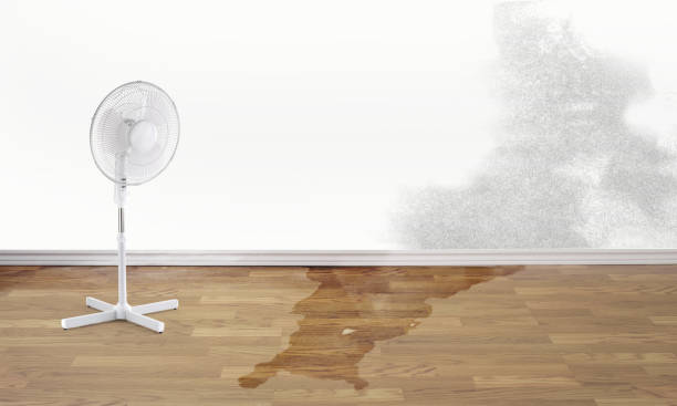 Best Emergency water damage restoration  in Xenia, OH