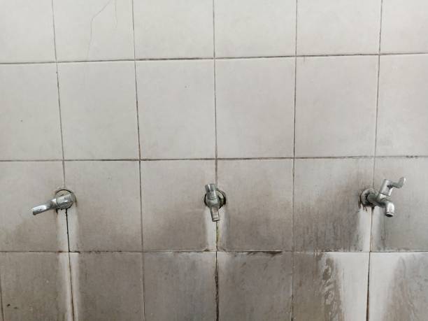 Best 24-hour water damage restoration  in Xenia, OH